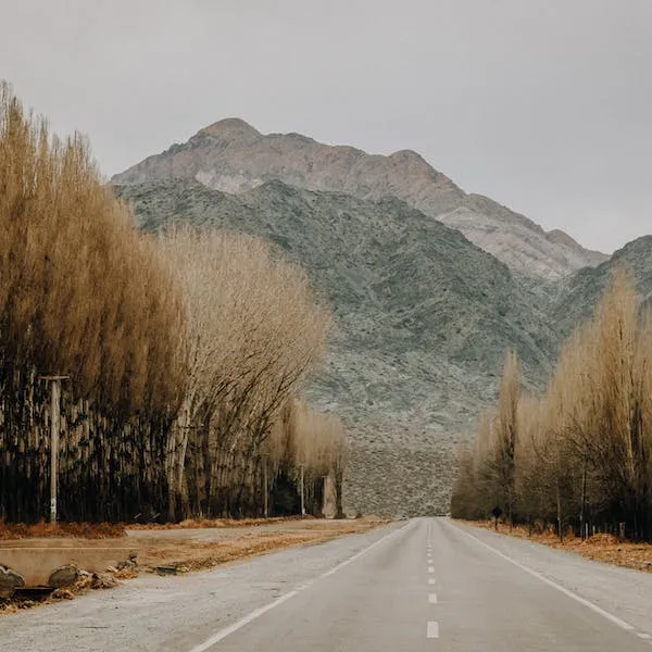 Que signifie rêver avec Estrade