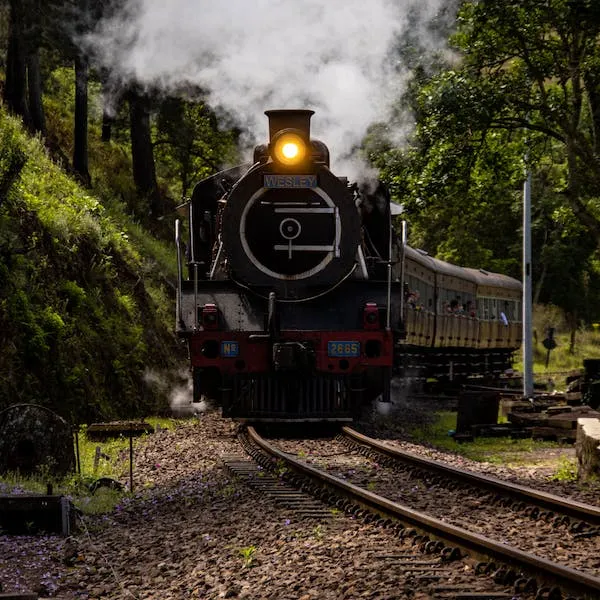 Que signifie rêver avec Locomotive