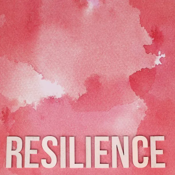 Que veut dire Resilience